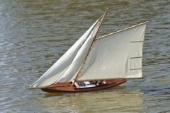 DSC00978 © Peter Taylor 2012