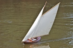 DSC00922 © Peter Taylor 2012