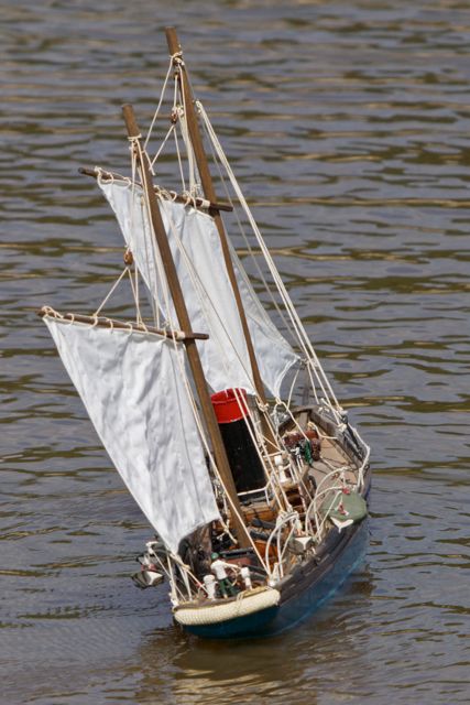 DSC06685 © Peter Taylor 2011