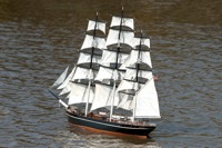 DSC04867 © Peter Taylor 2011