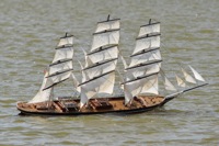 DSC00337 © Peter Taylor 2012