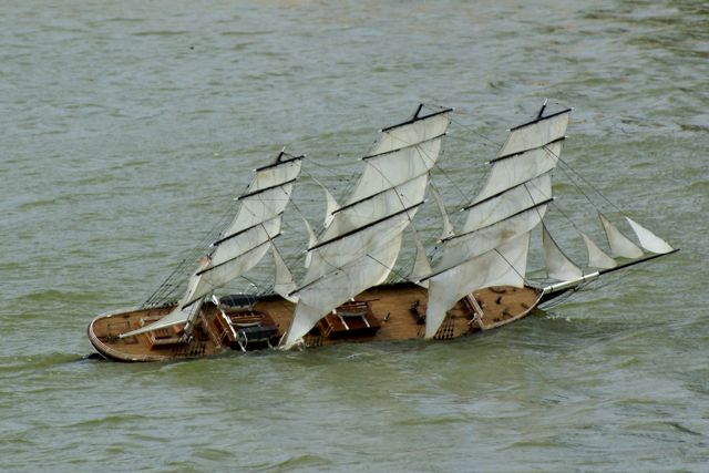 DSC01351 © Peter Taylor 2009
