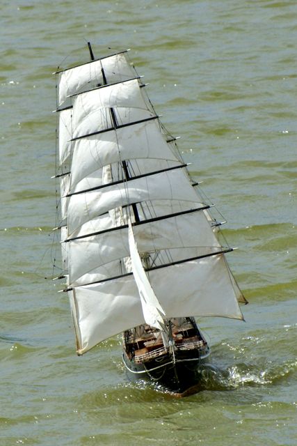 DSC01338 © Peter Taylor 2009