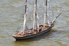 DSC00353 © Peter Taylor 2012