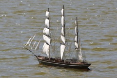 DSC00321 © Peter Taylor 2012