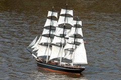 DSC04867 © Peter Taylor 2011