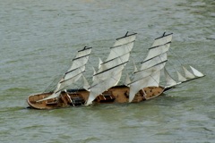 DSC01351 © Peter Taylor 2009