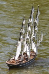 DSC00354 © Peter Taylor 2012