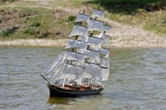 DSC00328 © Peter Taylor 2012