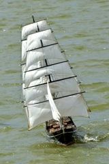 DSC01338 © Peter Taylor 2009