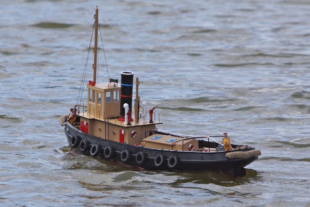 DSC00283 © Peter Taylor 2012