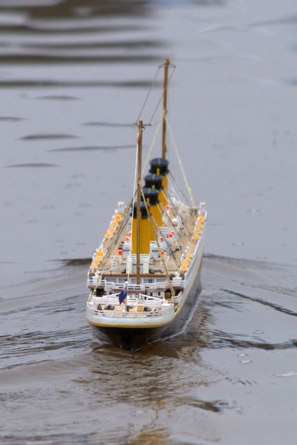 DSC05884 © Peter Taylor 2011