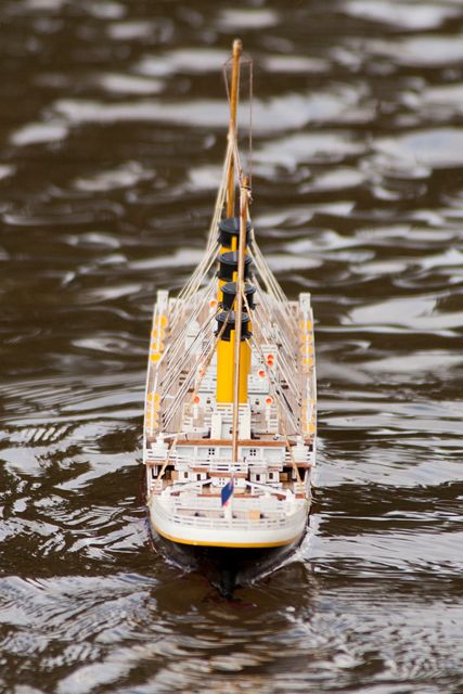 DSC03889 © Peter Taylor 2012