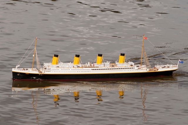 DSC03874 © Peter Taylor 2012