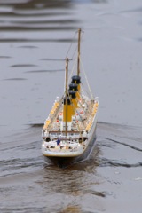 DSC05884 © Peter Taylor 2011