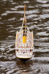 DSC03889 © Peter Taylor 2012