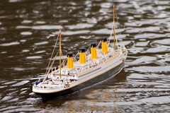 DSC03890 © Peter Taylor 2012