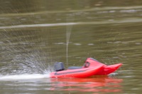 DSC08100 © Peter Taylor 2011