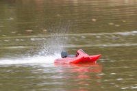 DSC08086 © Peter Taylor 2011