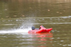 DSC08086 © Peter Taylor 2011