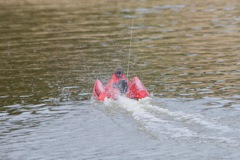 DSC08093 © Peter Taylor 2011