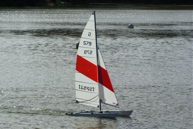 Topcat DSC04801