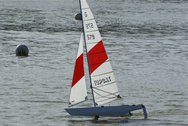 Topcat DSC04782