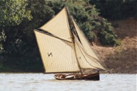 DSC01669 © Peter Taylor 2012