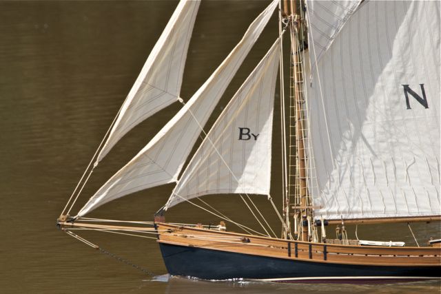 DSC05225 © Peter Taylor 2011