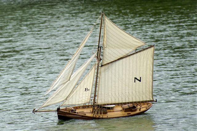 DSC02512 © Peter Taylor 2009