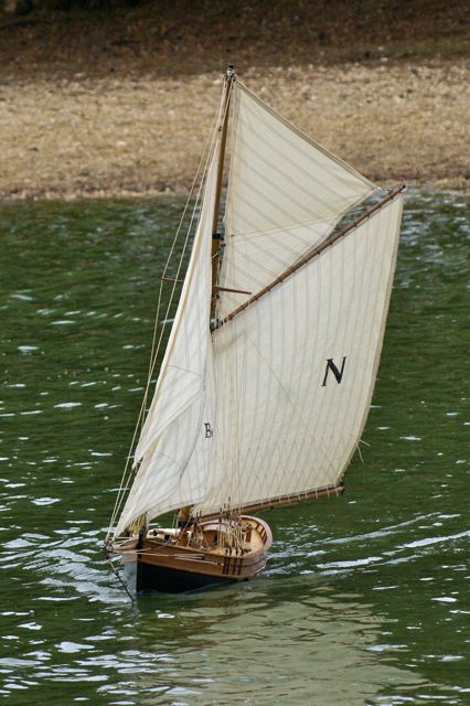 DSC02485 © Peter Taylor 2009