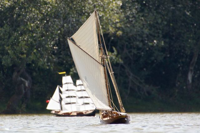 DSC01672 © Peter Taylor 2012