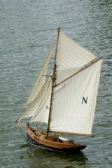 DSC02510 © Peter Taylor 2009