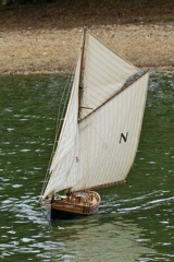 DSC02485 © Peter Taylor 2009
