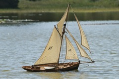DSC01017 © Peter Taylor 2012