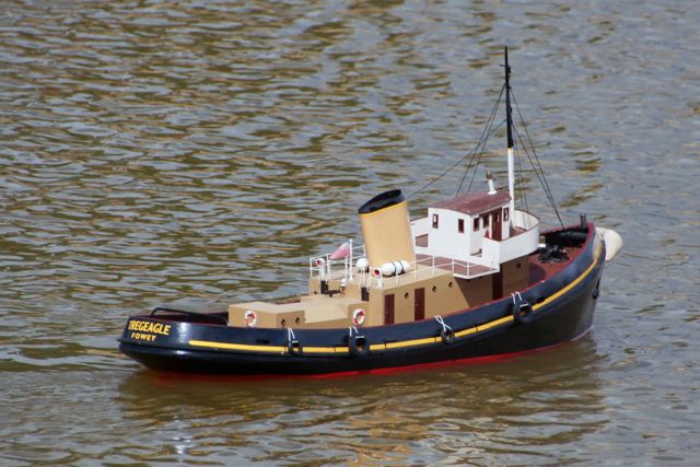 DSC03687 © Peter Taylor 2013