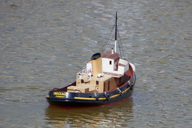DSC03688 © Peter Taylor 2013