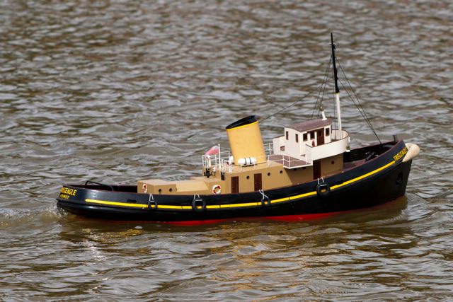 DSC01842 © Peter Taylor 2013