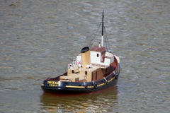 DSC03688 © Peter Taylor 2013