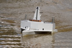 DSC05595 © Peter Taylor 2011