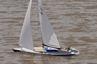 DSC06818 © Peter Taylor 2011