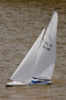 DSC06803 © Peter Taylor 2011