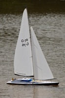 DSC06841 © Peter Taylor 2011