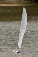 DSC06845 © Peter Taylor 2011