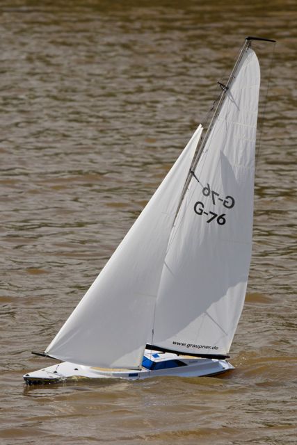DSC06803 © Peter Taylor 2011