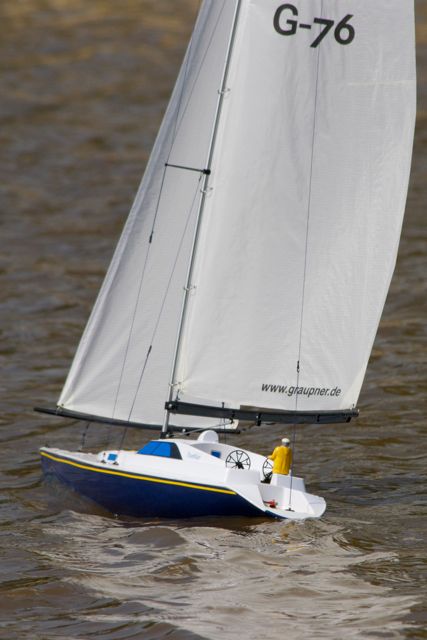 DSC06784 © Peter Taylor 2011