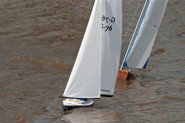 DSC06793 © Peter Taylor 2011