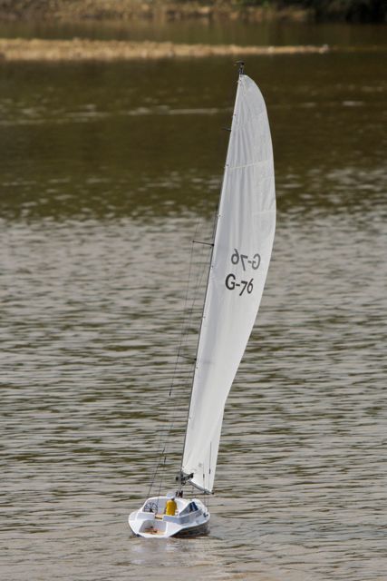 DSC06845 © Peter Taylor 2011