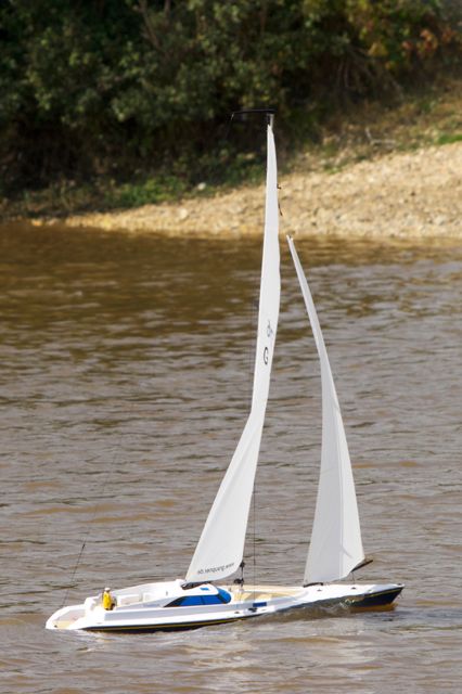 DSC06789 © Peter Taylor 2011