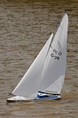 DSC06803 © Peter Taylor 2011
